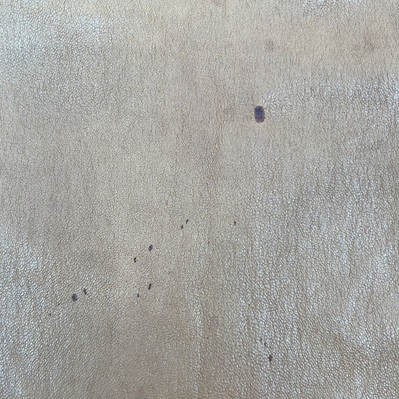 SPRWMN Tube Top in Camel - Picture 6 of 10